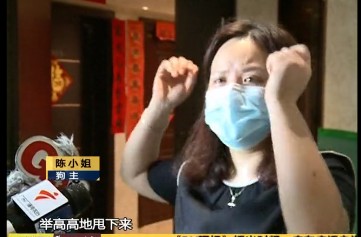 女童逗狗被咬父亲上门把狗摔死受害者是如何变成加害者的